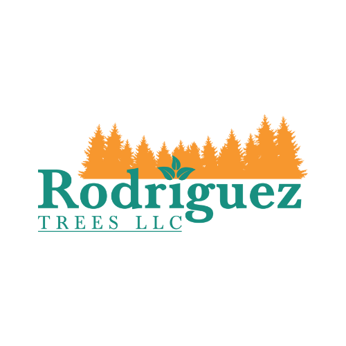 rodrigueztreesga